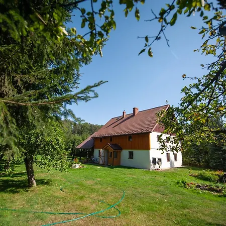 Sokolowiec 31