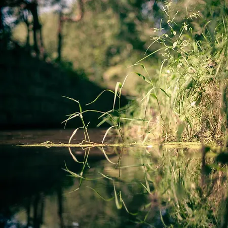 Villa Sokolowiec 31 *