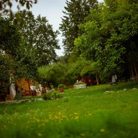 Sokolowiec 31 *