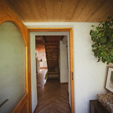 Sokolowiec 31 * Sedziszowa