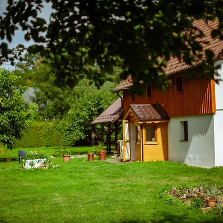Sokolowiec 31
