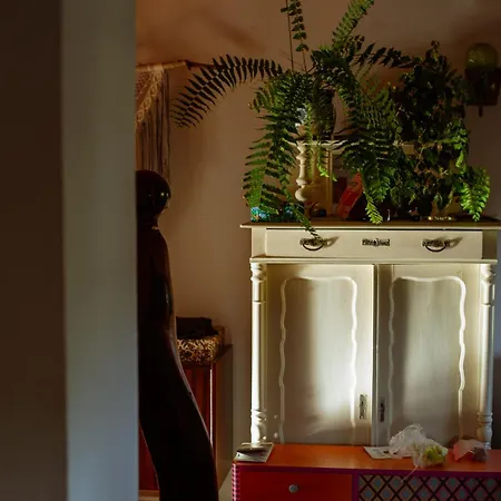 Sokolowiec 31 Sedziszowa