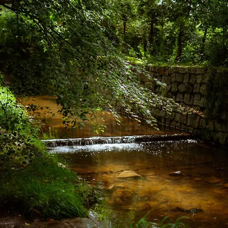 Sokolowiec 31 Sedziszowa