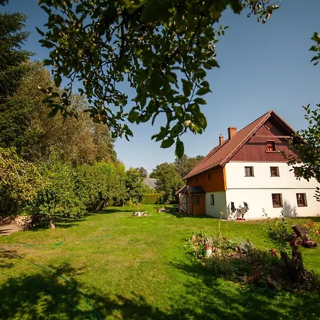 Villa Sokolowiec 31 *