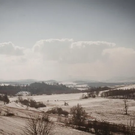 Sokolowiec 31 * Sędziszowa