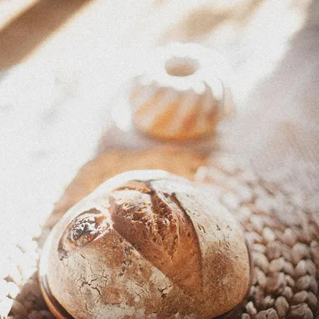 Villa Sokolowiec 31 Sedziszowa