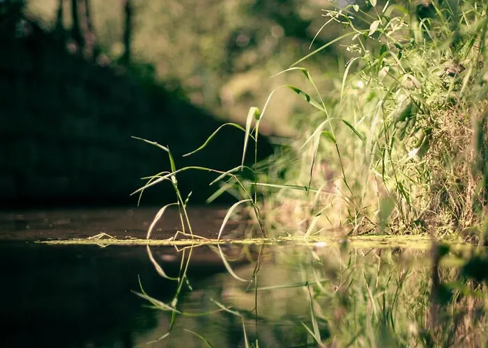 Vila Sokolowiec 31 *