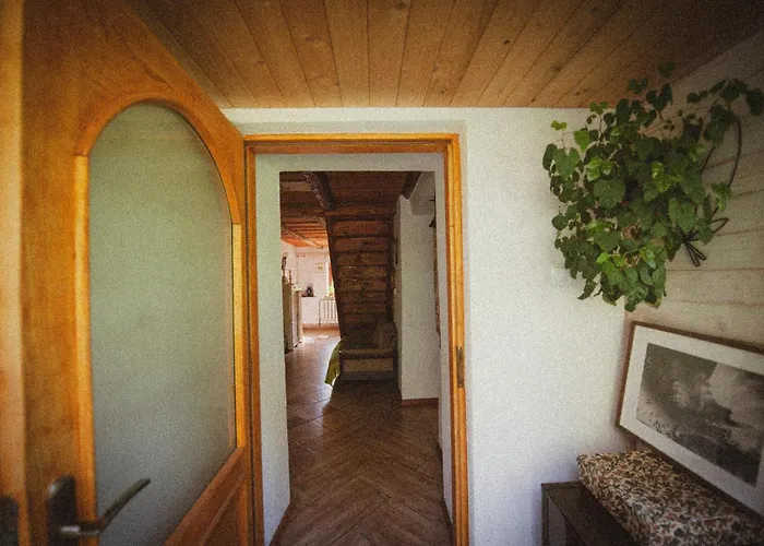 Sokolowiec 31 * Sedziszowa