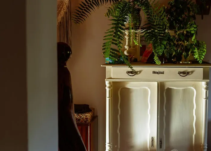 Sokolowiec 31 Sedziszowa