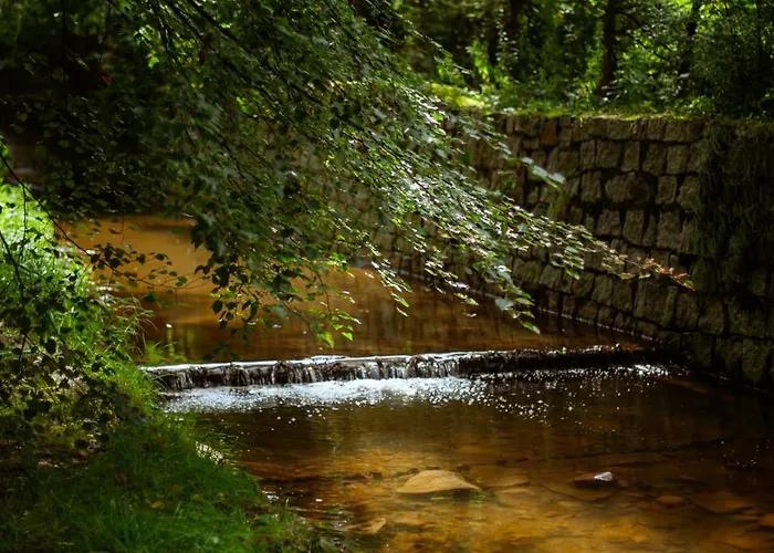 Sokolowiec 31 Sedziszowa