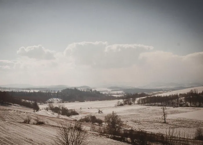 Sokolowiec 31 * Sedziszowa